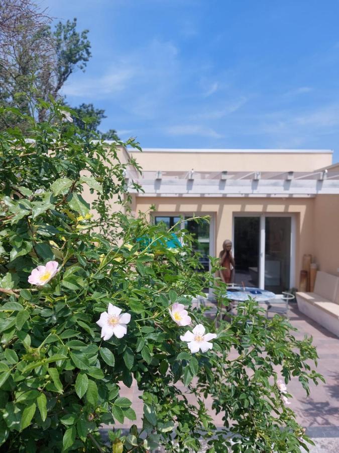 Pioppi Neri R&B Bed & Breakfast Felino ภายนอก รูปภาพ
